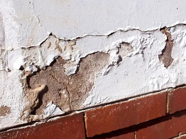 how to install decorative wall paneling