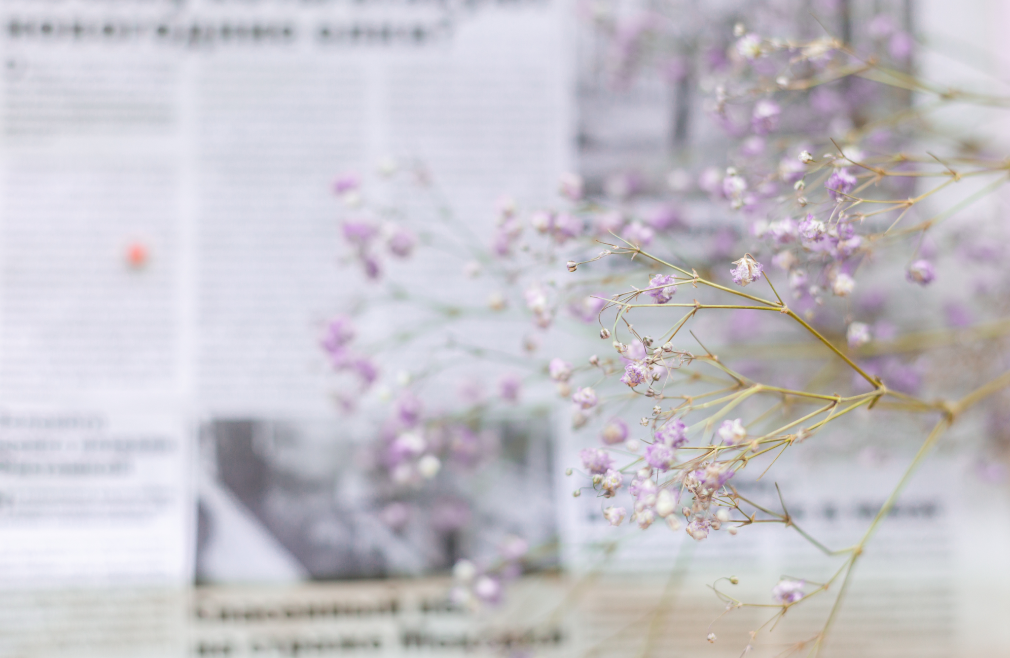 newsletter in spring