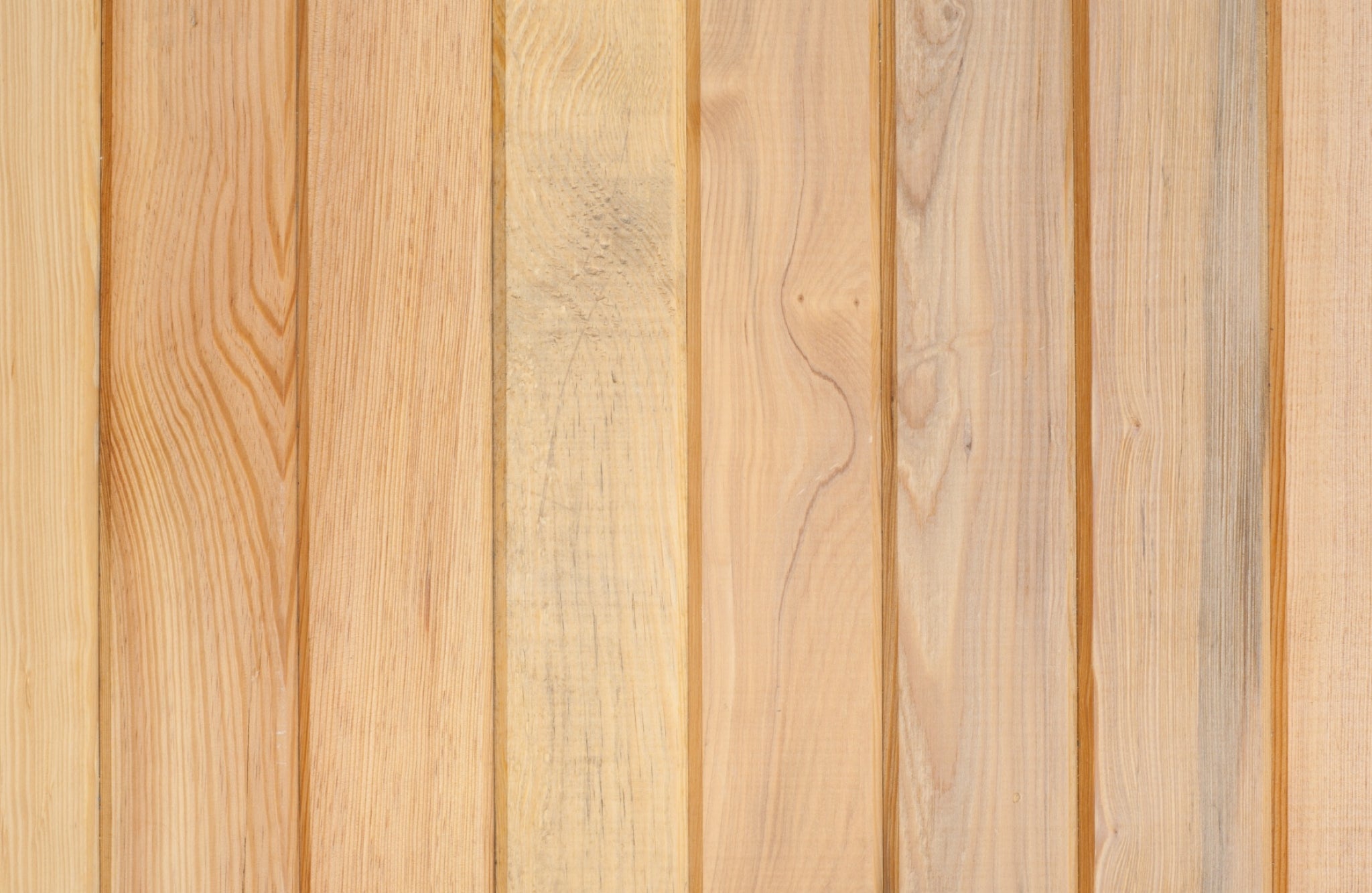 pine wood