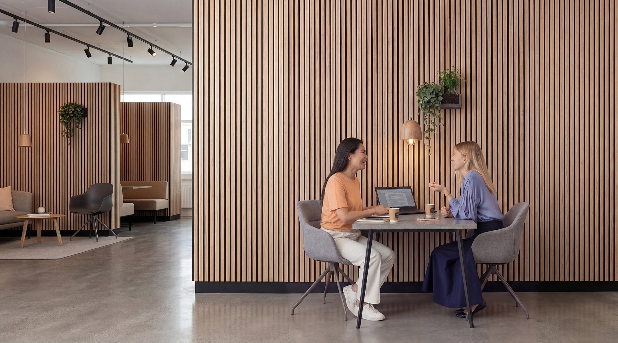 Office Fit-Out Wall Panels: A Specification Guide for Commercial Interiors