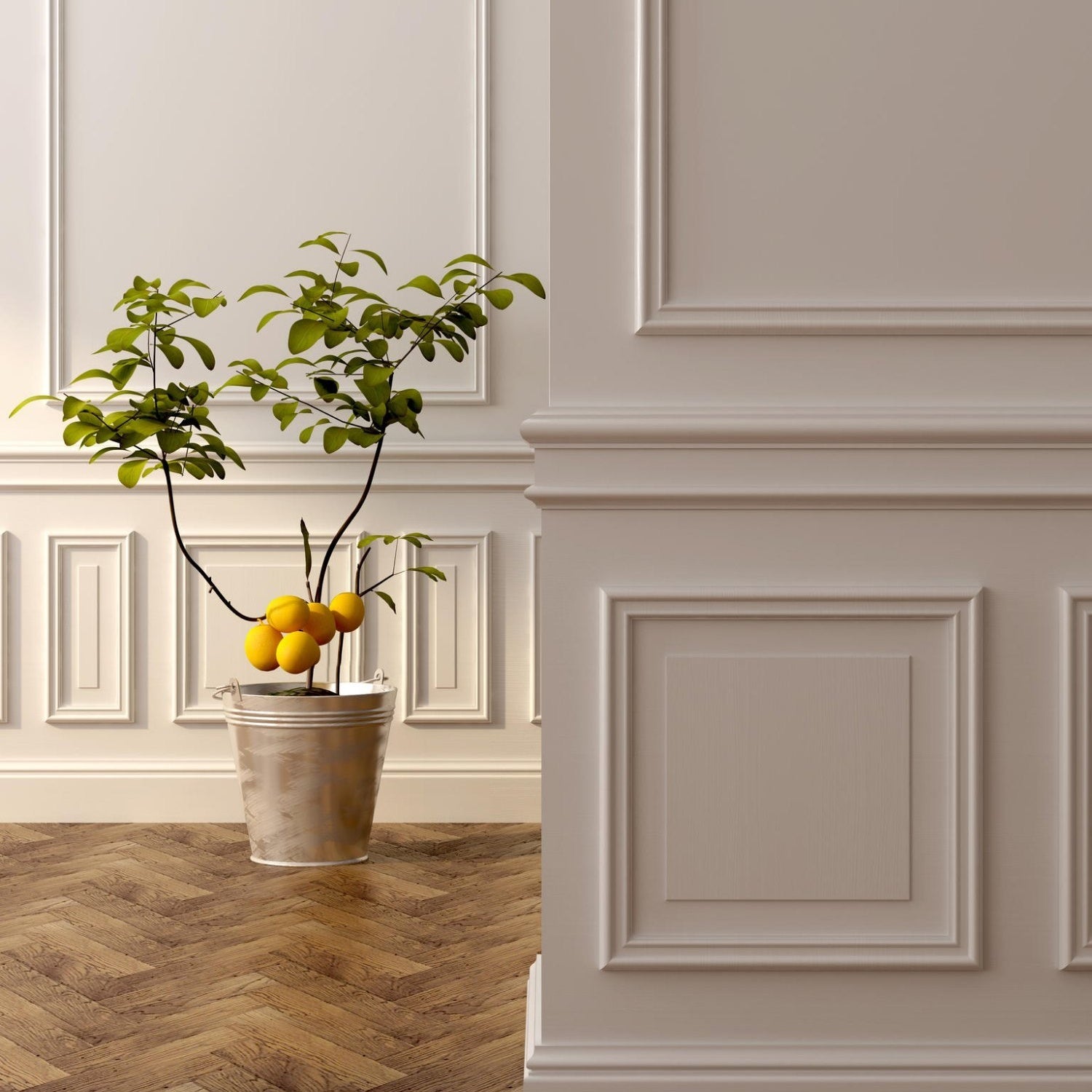 Panel Moulding