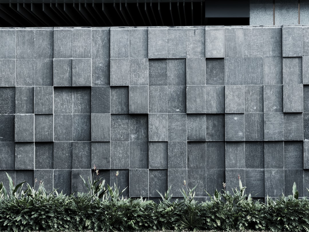 2. Full Feature Wall Behind the Sofa