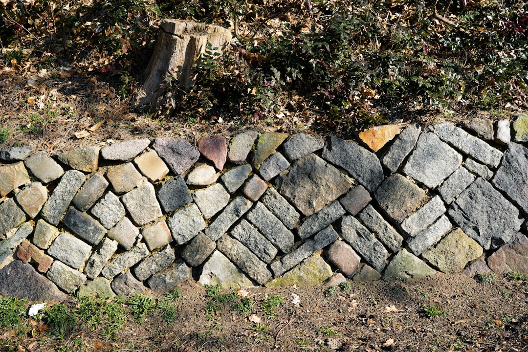 Can You Use Stone Wall Panels Outdoors?